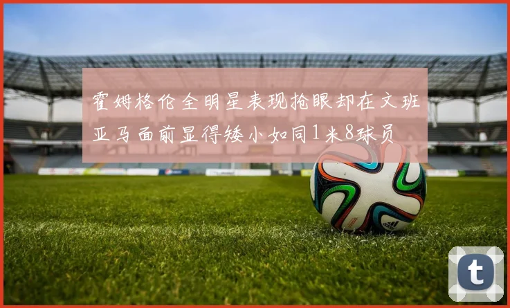 霍姆格伦全明星表现抢眼却在文班亚马面前显得矮小如同1米8球员